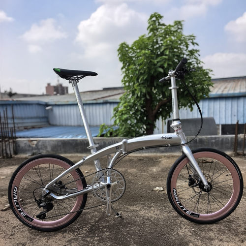 新款fnhon风行海豚折叠车铝合金海豚架LDG2018碟刹平把折叠自行车