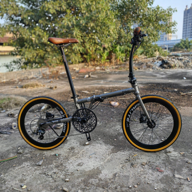 风行FNHON GUST22寸FGD2018碟刹铬钼钢折叠自行车内走线鹅颈头管