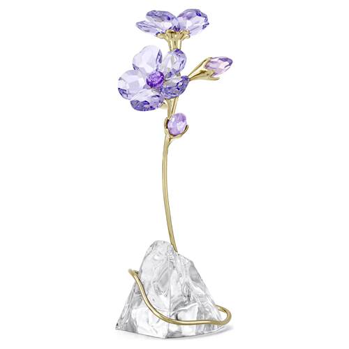 SWAROVSKI施华洛世奇水晶Florere ROZANNE Geranium花摆件5693143