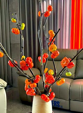 网红小南瓜鲜花长花期可做干花