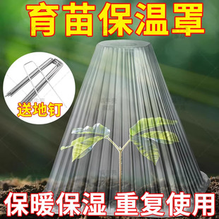 育苗保温罩重复使用方形植物钟罩大棚免受鸟类霜冻伤害保护防虫袋