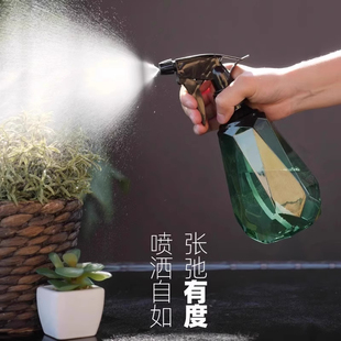 浇花喷壶喷雾瓶手压喷水壶家用清洁消毒专用洒水壶喷头发喷水壶
