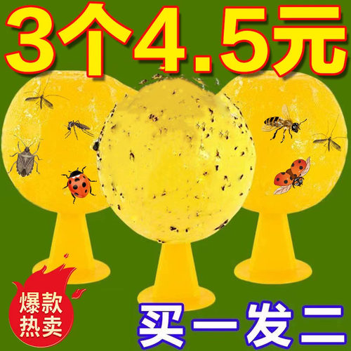 室内果蝇小飞虫诱捕粘虫球无毒