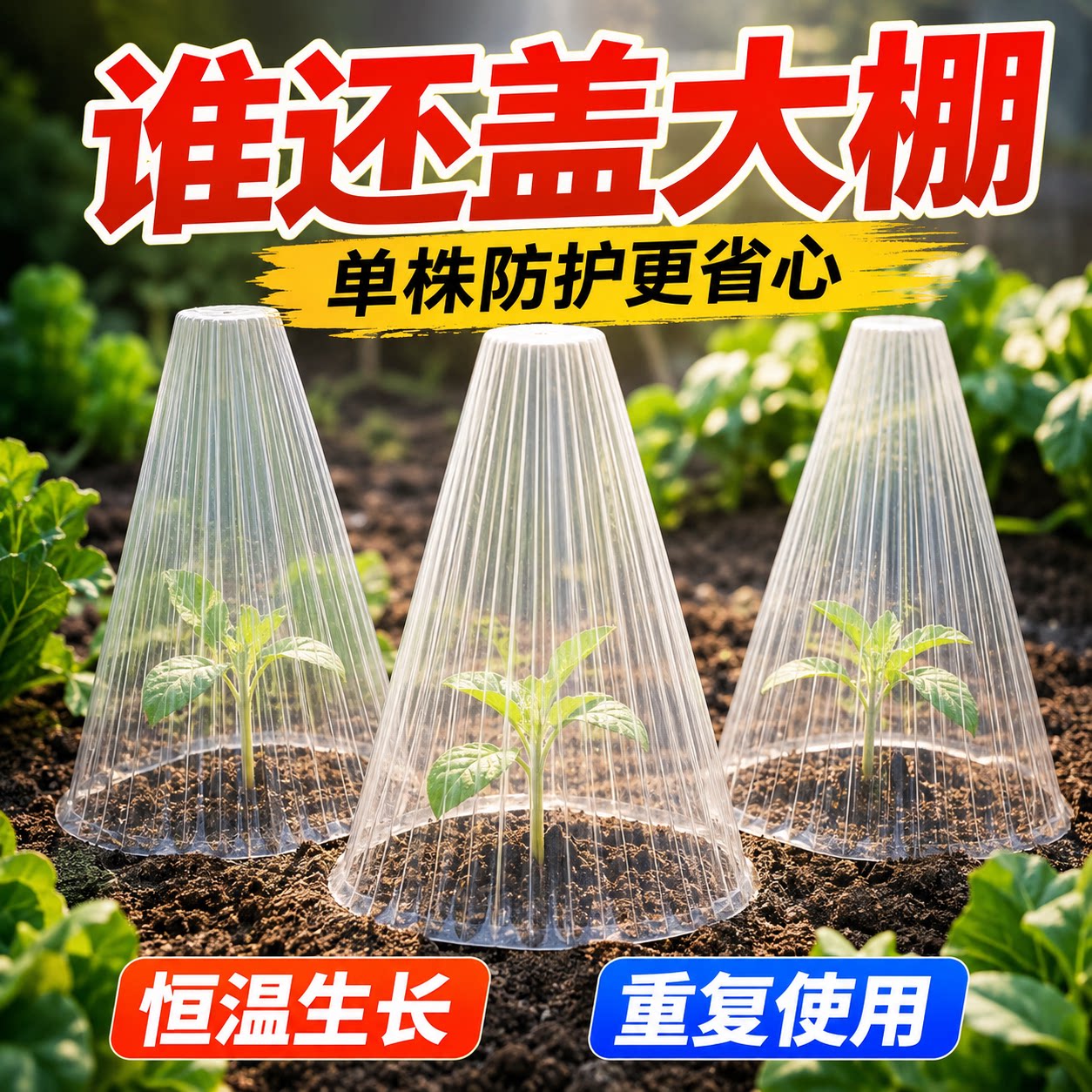 蔬菜育苗防虫防鸟保温防霜罩