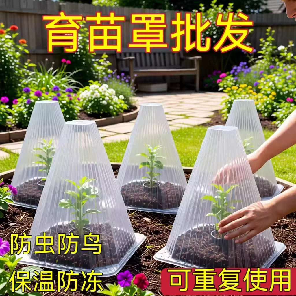 育苗大棚保温罩防霜防虫免鸟