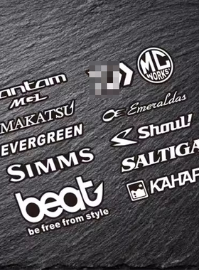 定做贴纸适用达瓦simms路亚品牌SALTTIA钓鱼贴纸贴画定制  1287