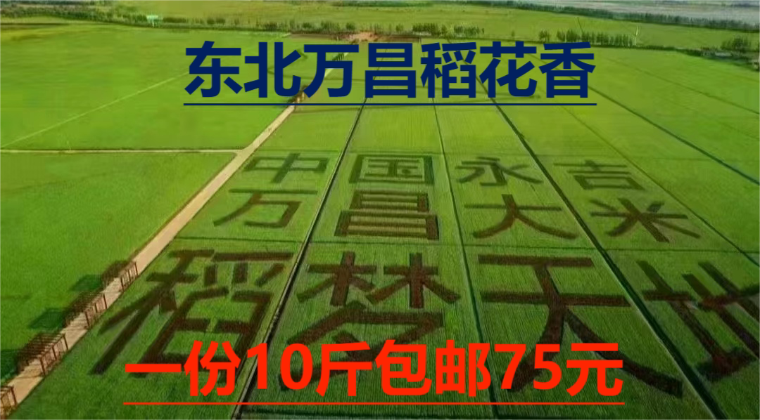 东北万昌大米稻花香2号2025年新米十斤包邮
