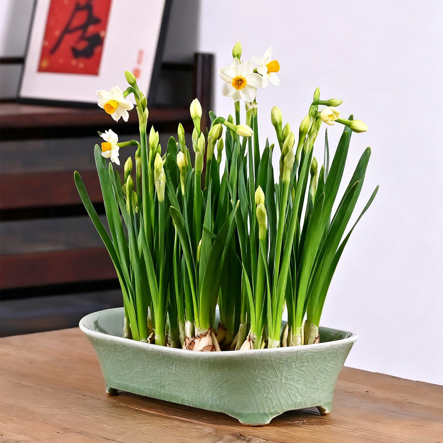 家用创意陶瓷大号水仙花盆水培多肉植物绿萝碗莲铜钱草无孔花盆