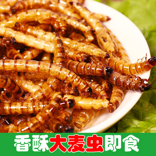 油炸大麦虫美食食用即食零食昆虫