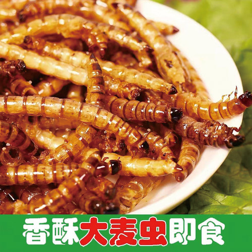 油炸大麦虫美食食用即食零食昆虫