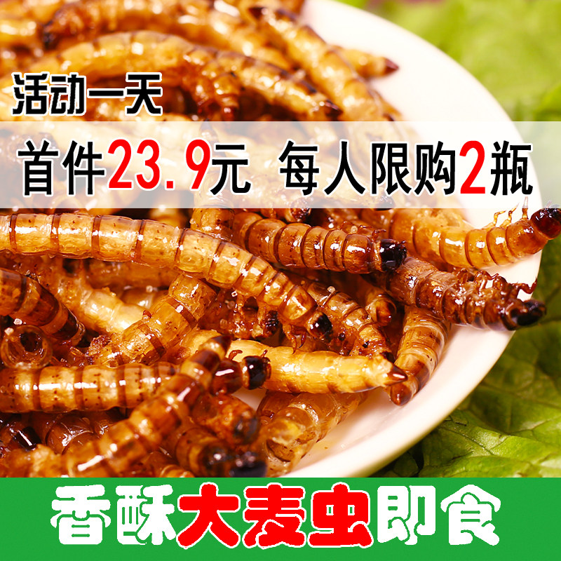 油炸虫子素材模板 油炸虫子图片下载 小麦优选