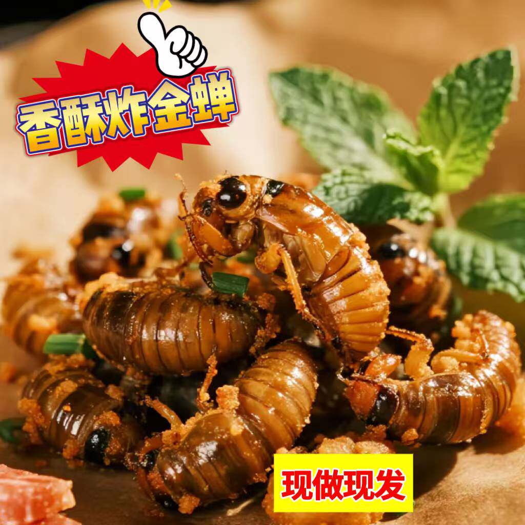 香酥油炸金蝉知了猴即食蝉蛹唐僧肉爬叉虫子开袋即食熟零食山东