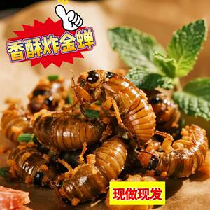 香酥油炸金蝉知了猴即食蝉蛹唐僧肉爬叉虫子开袋即食熟零食山东