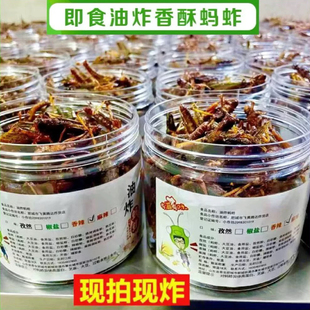 香酥脆蚂蚱油炸即食新鲜蝗虫食用昆虫炸虫子蚱蜢零食烧烤虫子美食