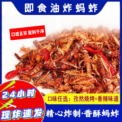 香脆油炸蚂蚱即食零食蝗虫食用