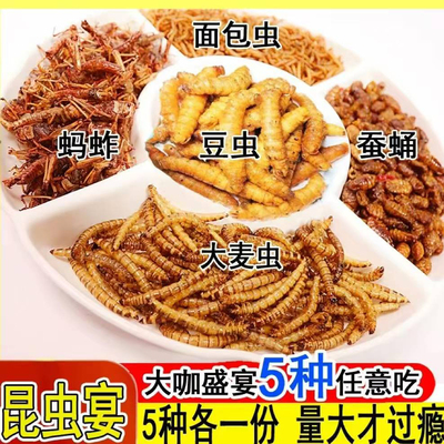 金蝉知了猴油炸蚂蚱即食昆虫美食