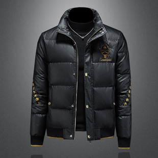 男装ggvv正品牌简木2025新款欧货保暖羽绒服潮流时尚立领休闲外套