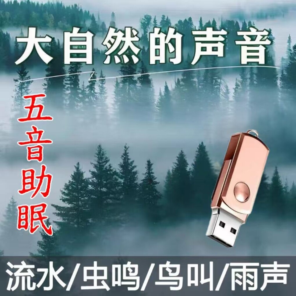 大自然纯音乐降噪音减压疗愈流水声滴水声鸟鸣声车载助眠MP3优盘