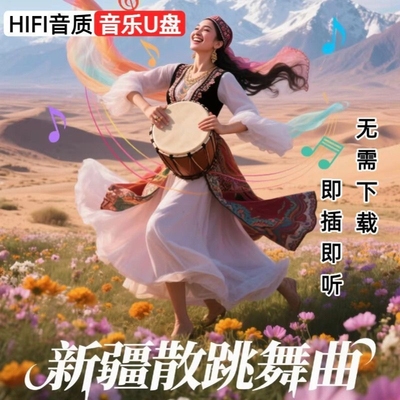 新疆维吾尔族舞曲维族民族舞歌曲音乐MP3音视频新疆歌曲u盘