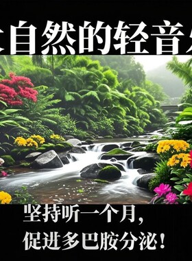大自然纯音乐白噪音减压疗愈流水声滴水声鸟鸣声乐助眠音乐u盘mp3
