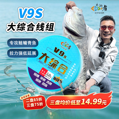 乐钓者清哥V9S鲢鳙大综合线组