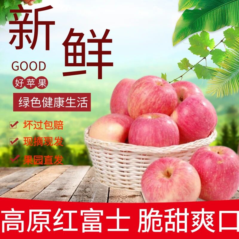 2025甘肃庆阳新鲜红富士苹果当季现摘脆甜优选高原健康水果整箱