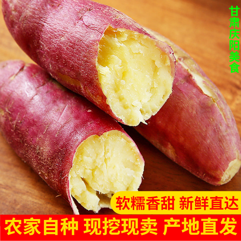 2026甘肃庆阳高原红薯新鲜老品种红芋现挖农家蜜番薯地瓜板栗10斤