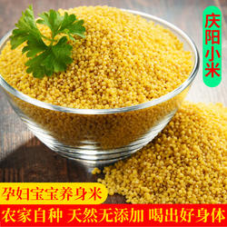 甘肃庆阳小米农家食用谷米孕妇月子自种大黄米熬粥新米杂粮5斤
