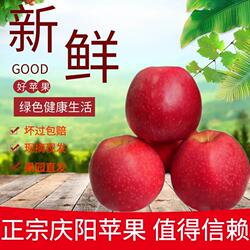 2025甘肃庆阳苹果精品新鲜嘎啦现摘老人宝宝粉面水果顺丰礼盒整箱