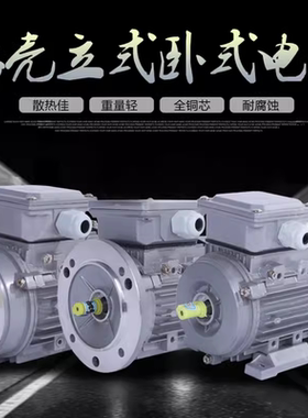 MS GS YS8014 8024 8034/Y90S 90L 100L 112M 132S-4国标铜线电机