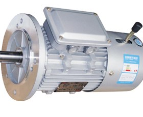 YEJ7116 7126 7136 8016 8026 90S 90L 100L 112M-6德力刹车电机