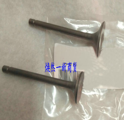 适用雅马哈摩托车配件天剑YBR125气门天琪天戟JYM125-2-3进排气门