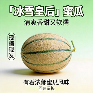 疆饱饱| 新疆蜜瓜冰雪皇后蜜瓜老汉瓜加强版哈密瓜新鲜水果