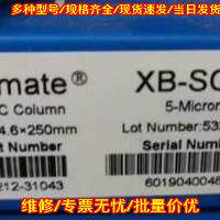 XB-SCX 阳离子交换柱 HPLC色谱柱 5微米 4.6×250mm 月旭议价维修
