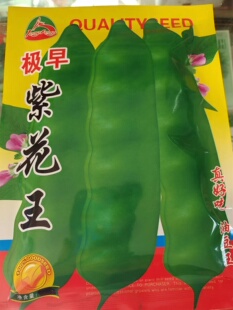 东北蔬菜种子早熟紫花王油豆角种子架豆搭架豆角大棚陆地150克