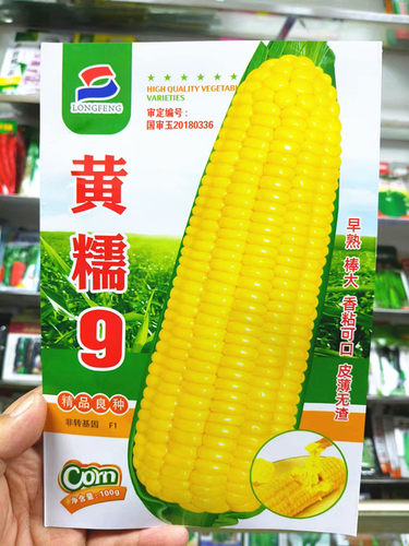 佳木斯龙丰蔬菜玉米粘苞垦100克