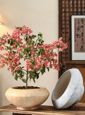 复古陶瓷花盆轻奢简约高级感客厅室内家用蝴蝶兰北美冬青专用盆栽