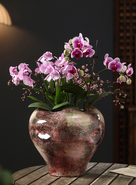 新中式复古禅意陶瓷花盆轻奢异形家用蝴蝶兰北美冬青专用花器摆件