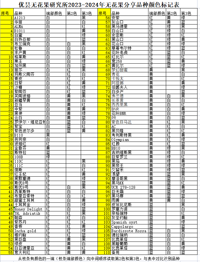 2024年度100种无花果枝条分享盲盒特大无花果新品种盆景庭院种植