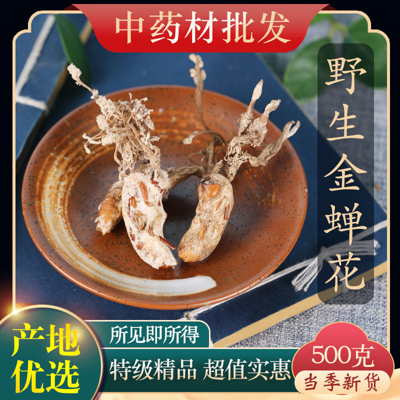中药材精选野生金蝉花新货蝉花虫草花知了花婵花粉500克g饲料