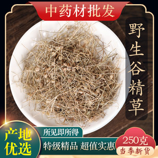 中药材精选野生谷精草 珍珠草 谷精珠 谷精子新货500克中草药饲料