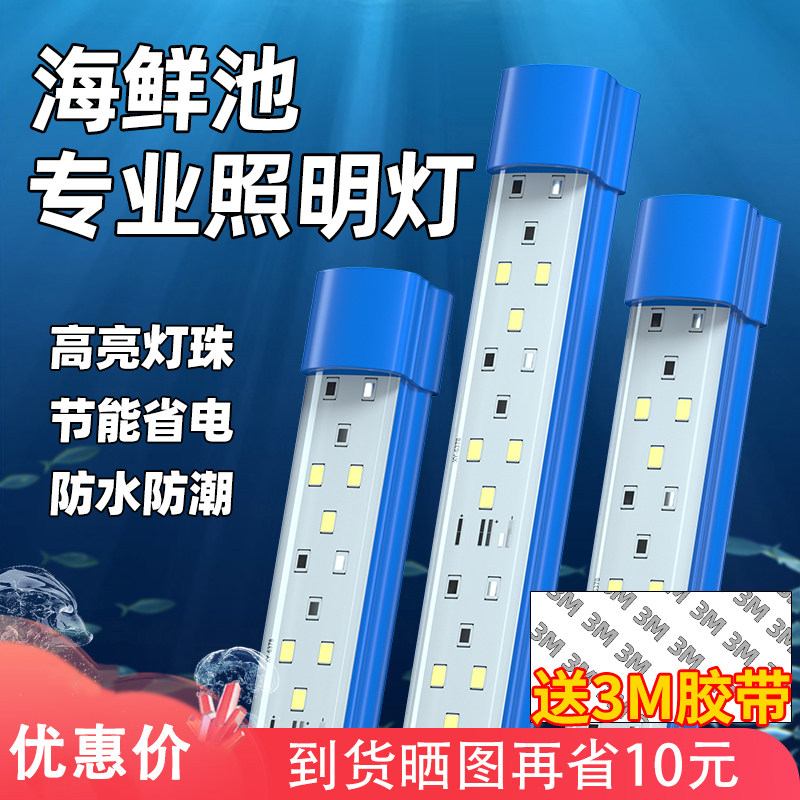 海鲜池防水灯鱼缸灯led灯防水海鲜专用灯蓝色照明灯鱼池灯水产灯