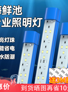 海鲜池防水灯鱼缸灯led灯防水海鲜专用灯蓝色照明灯鱼池灯水产灯