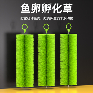 孵化草孵化毛刷锦鲤产卵草鱼卵孵化刷金鱼繁殖水产养殖鱼巢