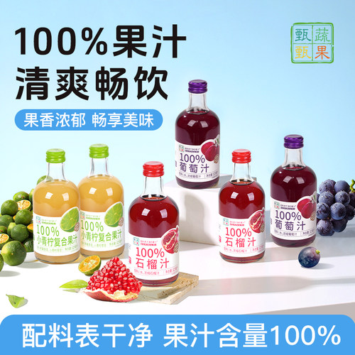 甄蔬甄果100%纯果汁饮料橙汁