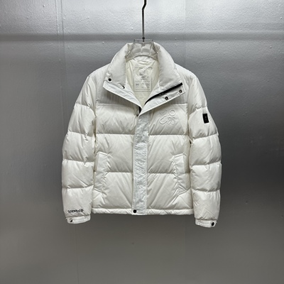 欧货轻奢高品质白鸭绒男士羽绒服