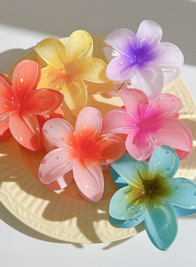Grab clip Flower hair clip large disc women's accessories 夹