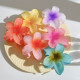 夹 hair clip Grab women Flower disc accessories large