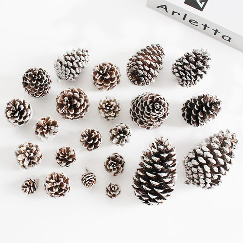 10pcs Christmas tree decoration white pine cones Pinecone
