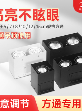 方通专用灯铝方形筒灯单双头明装吊顶cob商用店铺格栅led斗胆射灯